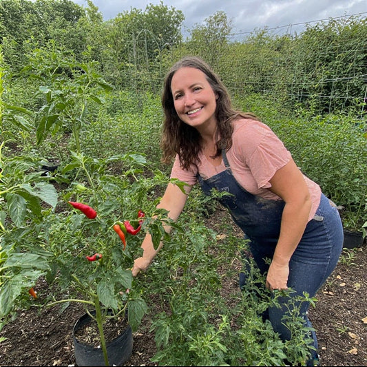 Best Companion Plants for Chili Peppers: A Grower’s Guide to Healthier, More Productive Pepper Gardens