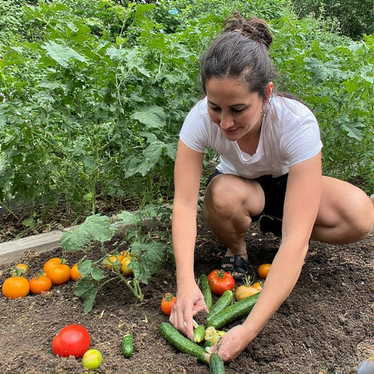Best Companion Plants for Cucumbers and Tomatoes