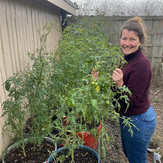 Best Soil for Growing Tomatoes in Containers: The Ultimate Guide to Container Success