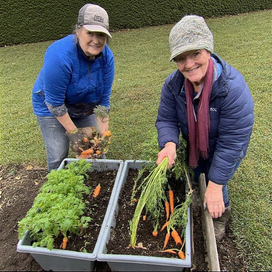 Best Time to Plant Carrots in Containers: A Seasonal Guide for Crisp and Flavorful Roots