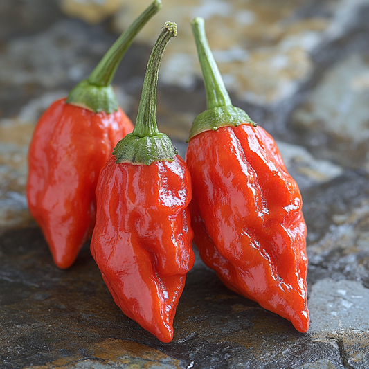 What to Look Out for When You Buy Jolokia Pepper: A Comprehensive Guide