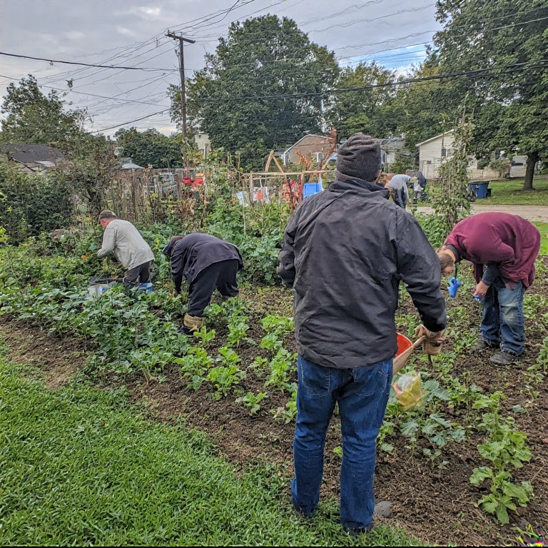 How to Start a Community Garden in Your Neighborhood