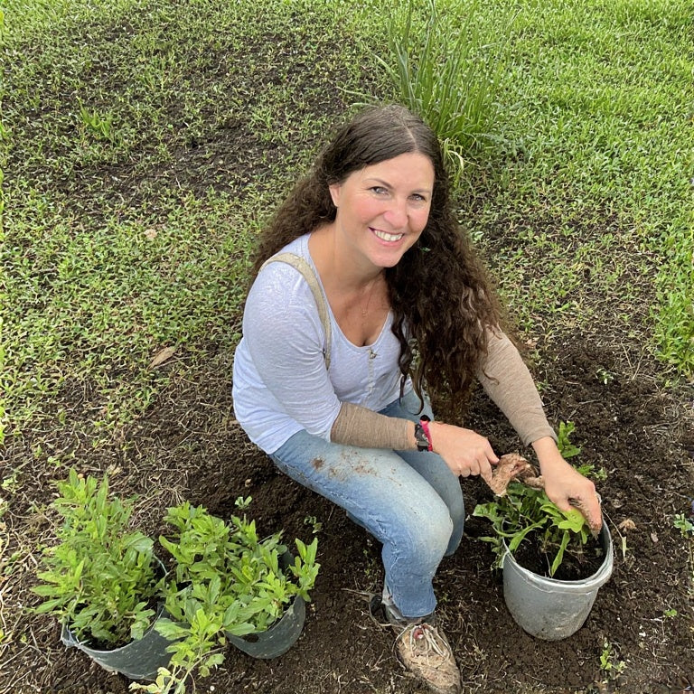 The Benefits of Companion Planting with Native Plants
