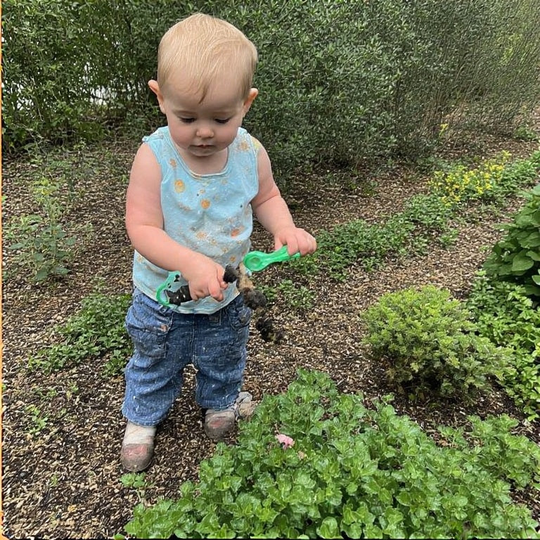 Creating a Sensory Garden for Kids: Plants That Engage All Five Senses