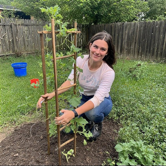 How to Build a DIY Trellis for Climbing Vegetables