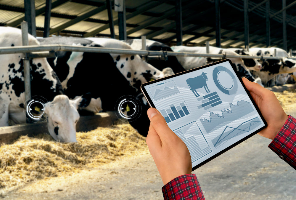Integrating Technology in Livestock Management