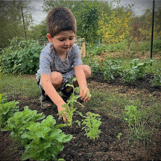 Easy Gardening Projects for Kids to Learn and Grow