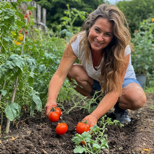 The Secret to Growing Tomatoes That Don’t Split: A Practical Grower’s Guide