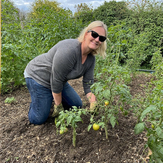 How Do I Grow Tomatoes Successfully? A Complete Step-by-Step Growing Guide