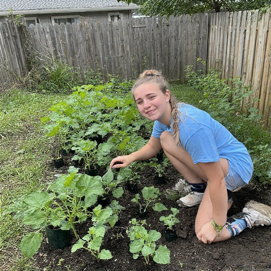How Do You Grow Lemon Cucumbers from Seed? A Complete Guide for Home Gardeners