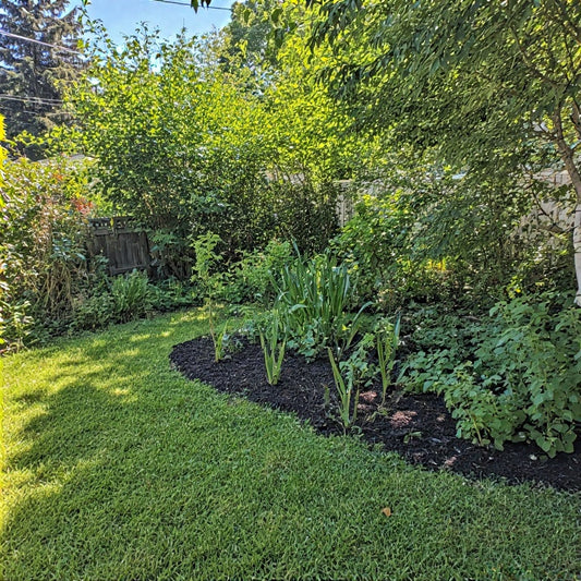 How Much Sunlight Does My Garden Need? Light Requirements for Healthy Plants