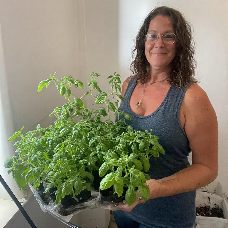 How to Grow Basil from Seed Indoors: A Complete Guide