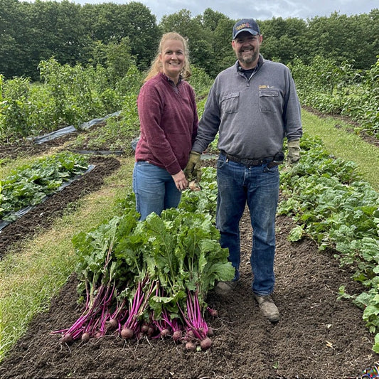 How to Grow Beets in Raised Beds: A Complete Guide to Thriving Root Crops