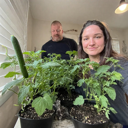 How to Grow Cucumbers from Seed Indoors: A Complete Guide for Gardeners