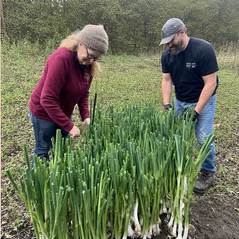 How to Grow Green Onions from Kitchen Scraps: A Step-by-Step Guide for Sustainable Gardeners