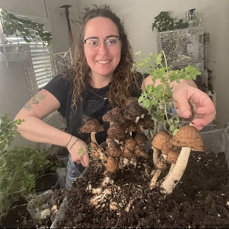 How to Grow Mushrooms Indoors: The Complete Beginner’s Guide