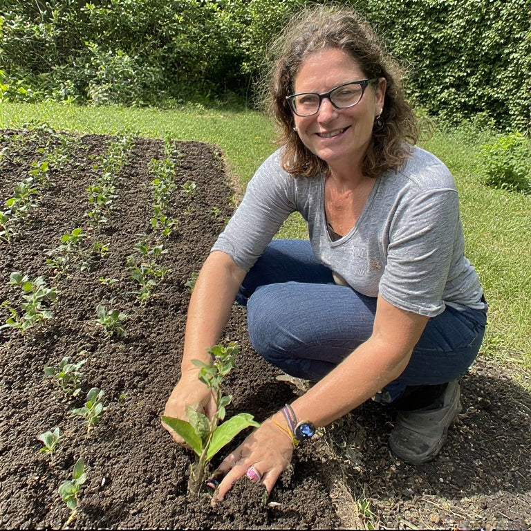 How to Grow a Tea Garden: Herbs for Homemade Herbal Teas