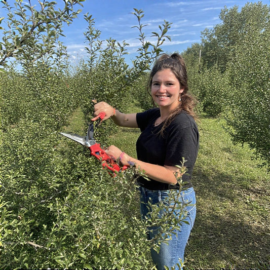 How to Prune Fruit Trees for Maximum Yield: A Complete Guide