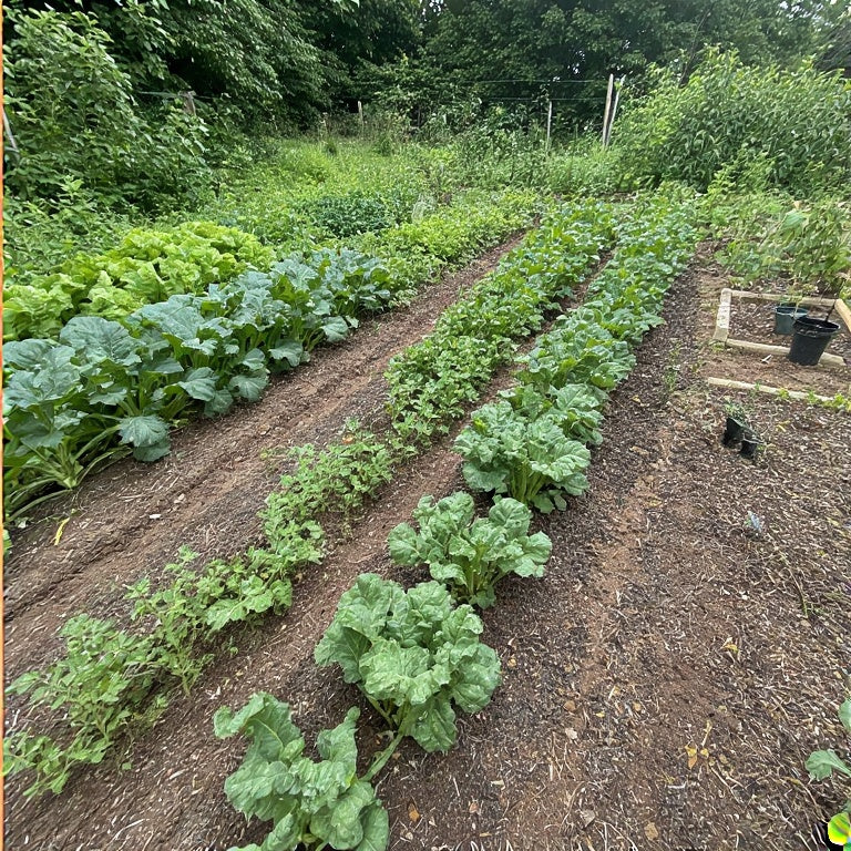 Root Pest Control Organic Methods for Pest Control in Vegetable Gardens – FarmerFlints