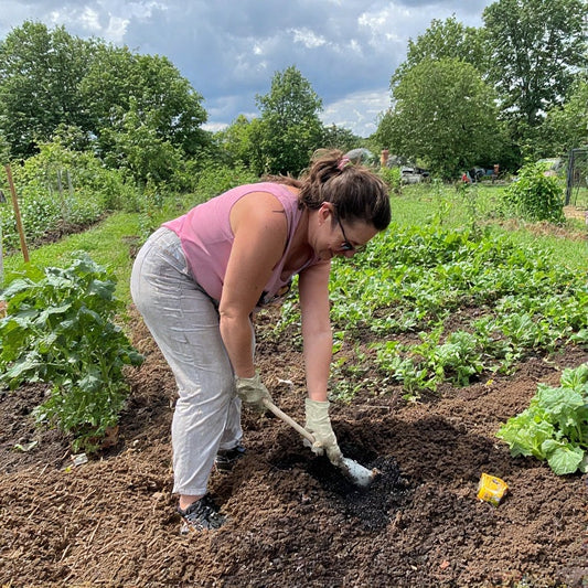 Organic Mulching Techniques for Vegetable Gardens: A Practical Guide to Healthier Soil and Bountiful Harvests