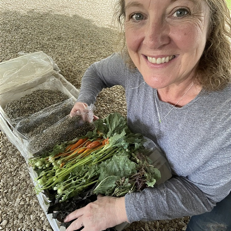 Saving Seeds from Heirloom Vegetables: A Step-by-Step Guide