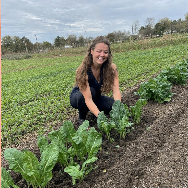 Spinach Companion Planting A Complete Guide for Successful Growth