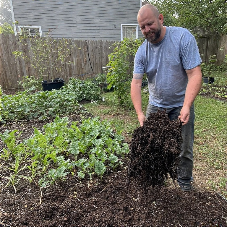 The Benefits of Mulching and How to Do It Right