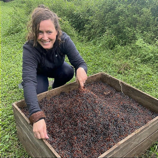 The Beginner’s Guide to Vermicomposting with Worms