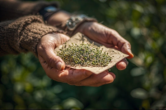 What Are Heirloom Seeds and Should I Use Them? A Comprehensive Guide for Home Gardeners