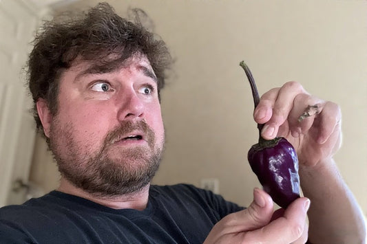 When to Pick Purple Cayenne Peppers: A Complete Guide for Gardeners and Growers