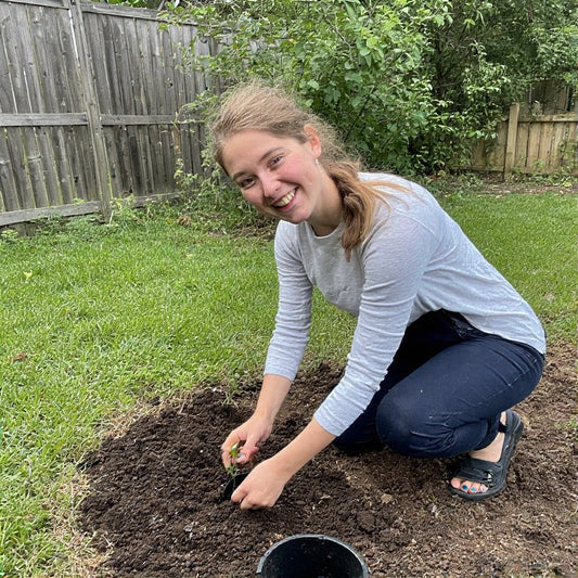 Best Compost for Vegetable Seed Starting