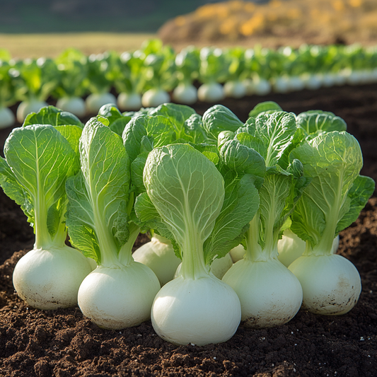 Essential Guide to Bok Choy Companion Planting: Best Plant Pairings for Healthy Growth