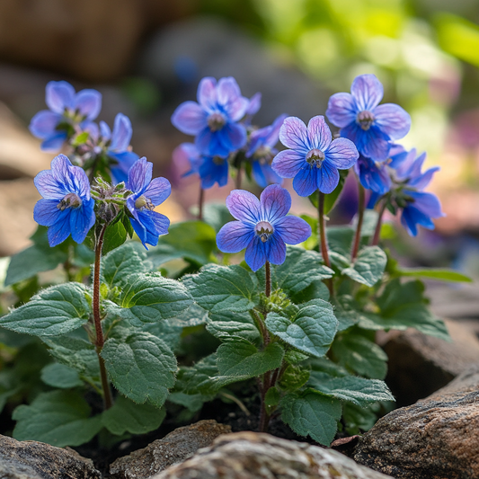 Borage Companion Planting: How to Use Borage to Boost Your Garden Naturally