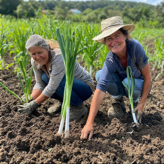 Companion Planting Scallions: The Complete Guide for Resilient Gardens