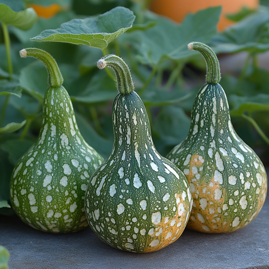 Companion Plants for Gourds: Enhancing Growth and Yield