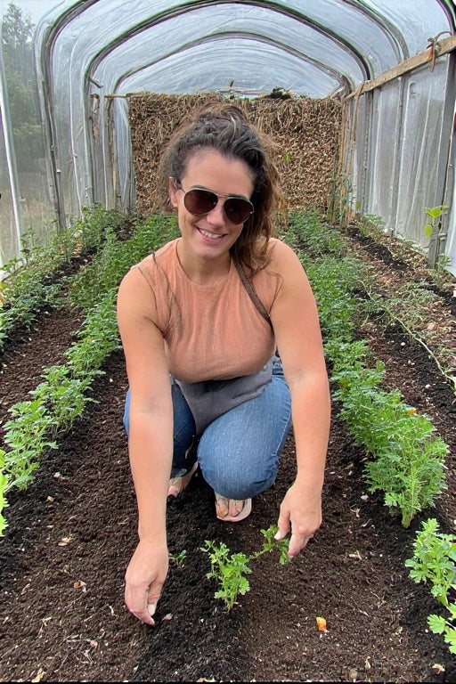 How to Grow Carrots in Small Spaces: A Complete Guide