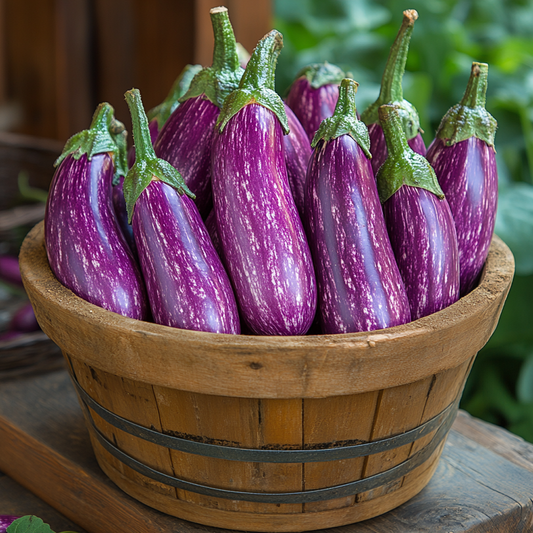 How to Grow Eggplant in Five Gallon Buckets: A Complete Guide for Container Gardeners