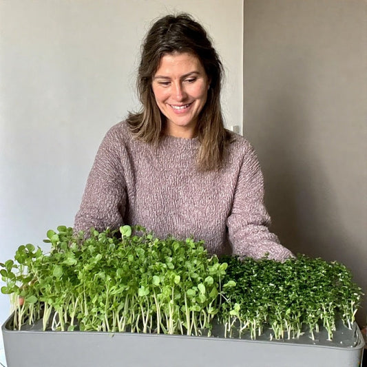 How to Grow Microgreens Without Soil: A Complete Guide to Soilless Success