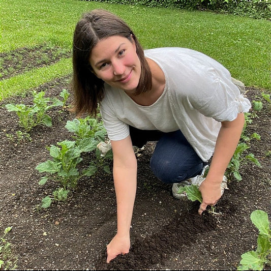 How to Keep Slugs Out of Raised Beds Naturally