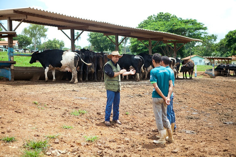 Disease Prevention and Control in Livestock