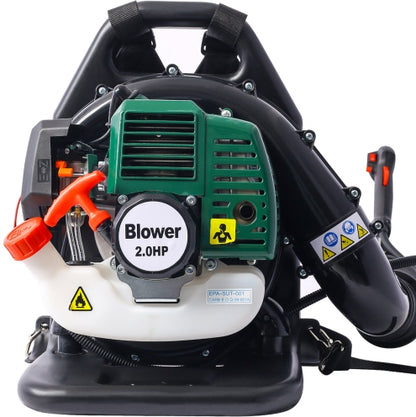 52CC Gas Backpack Leaf Blower with Extension Tube - Green