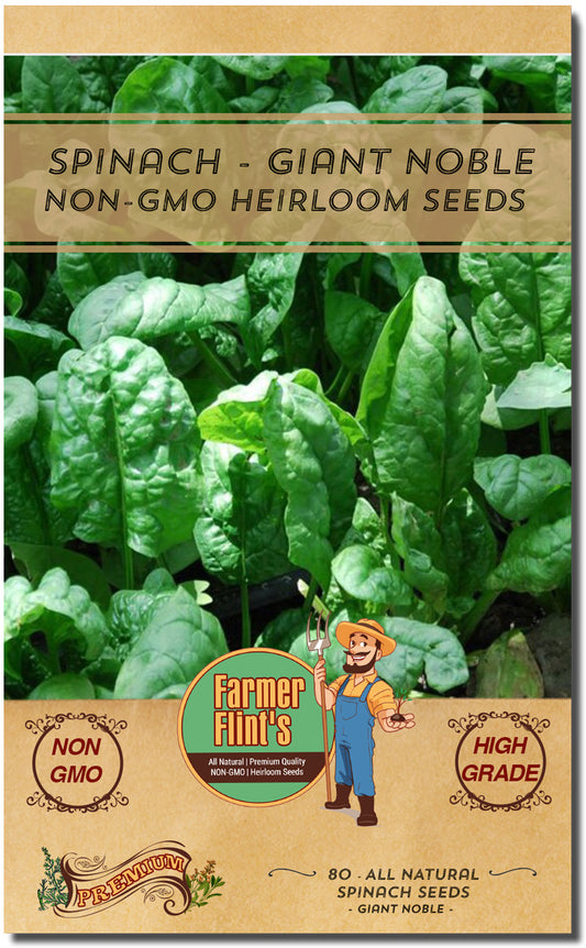 Giant Noble Spinach Seeds - Non-GMO Heirloom Spinach Leafy Vegetable Seeds - Open Pollinated Spinach Seeds for Planting Outdoors/Indoors - Pack of 80 Veggie Seeds w/ Planting Instructions