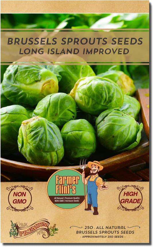 Brussels Sprouts Seeds for Planting - Non-GMO/Heirloom Seeds for Planting Vegetables - Long Island Improved Brussels Sprouts - Pack of 250 Mini Vegetable Seeds - Growing Instructions Included
