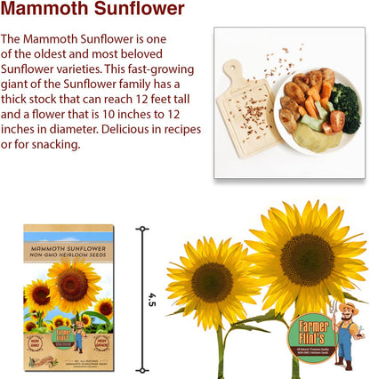 Mammoth Sunflower Seeds for Planting - Non-GMO Heirloom Seeds for Gardening Flowers Packed w/ Edible Seeds - Pack of 80 Sunflower Seeds for Your Home Garden - Planting Instructions Included