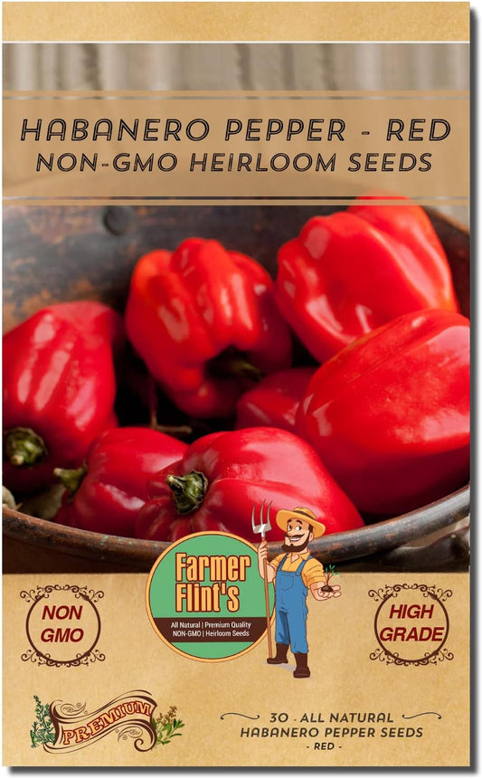 Habanero Pepper Seeds - Open Pollinated/All Natural/Non-GMO Chili Pepper Vegetable Seeds for Planting Home Garden - Pack of 30 Hot Pepper Heirloom Seeds - Growing Instructions Included