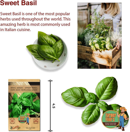 Sweet Basil Seeds - Leafy Vegetable Seeds for Planting Home Garden - Non-GMO Seeds for Planting Basil - Open Pollinated Seeds w/ High Germination Rate - 500 Basil Seed Packet w/ Growing Instructions