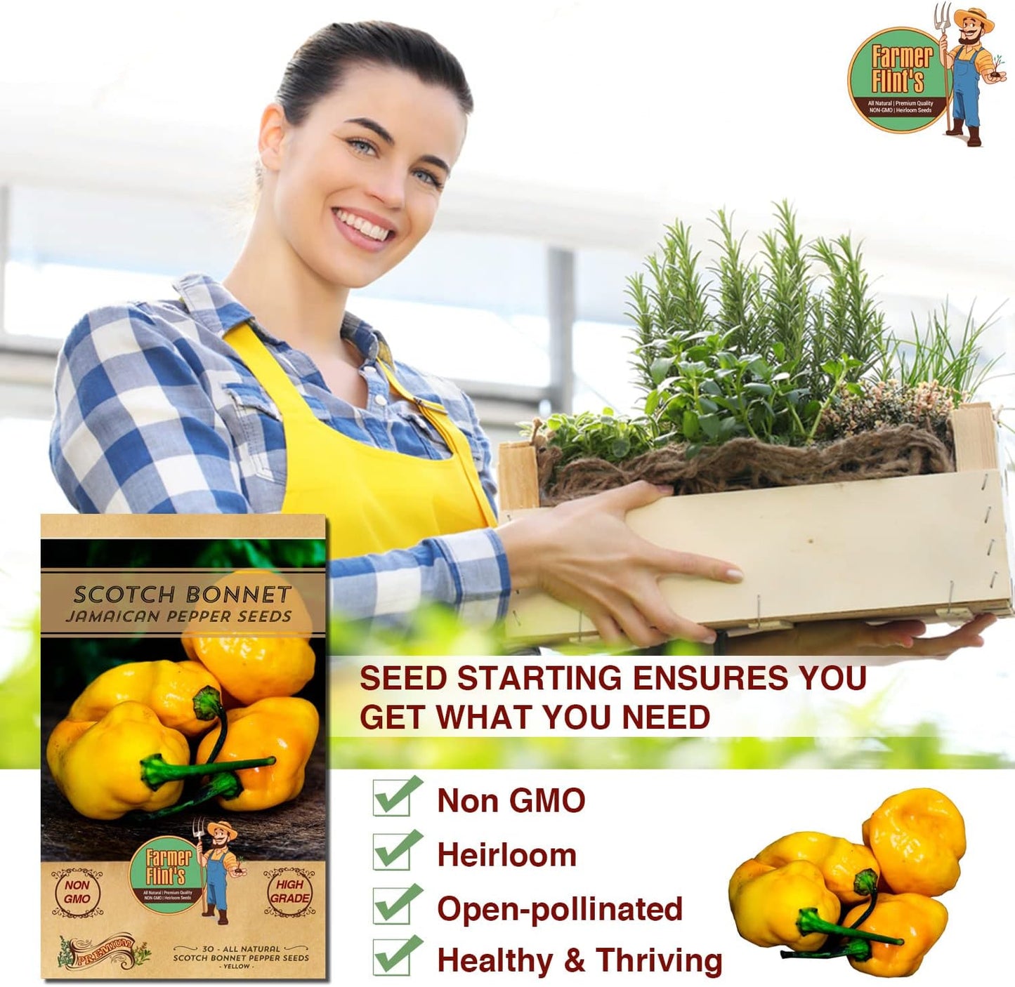 Scotch Bonnet Pepper Seeds - Jamaican Yellow Pepper Seeds for Planting - Non GMO Hot Pepper Seeds - All Natural/High Grade Heirloom Seeds for Growing Hot Pepper Plants (Pack of 30)