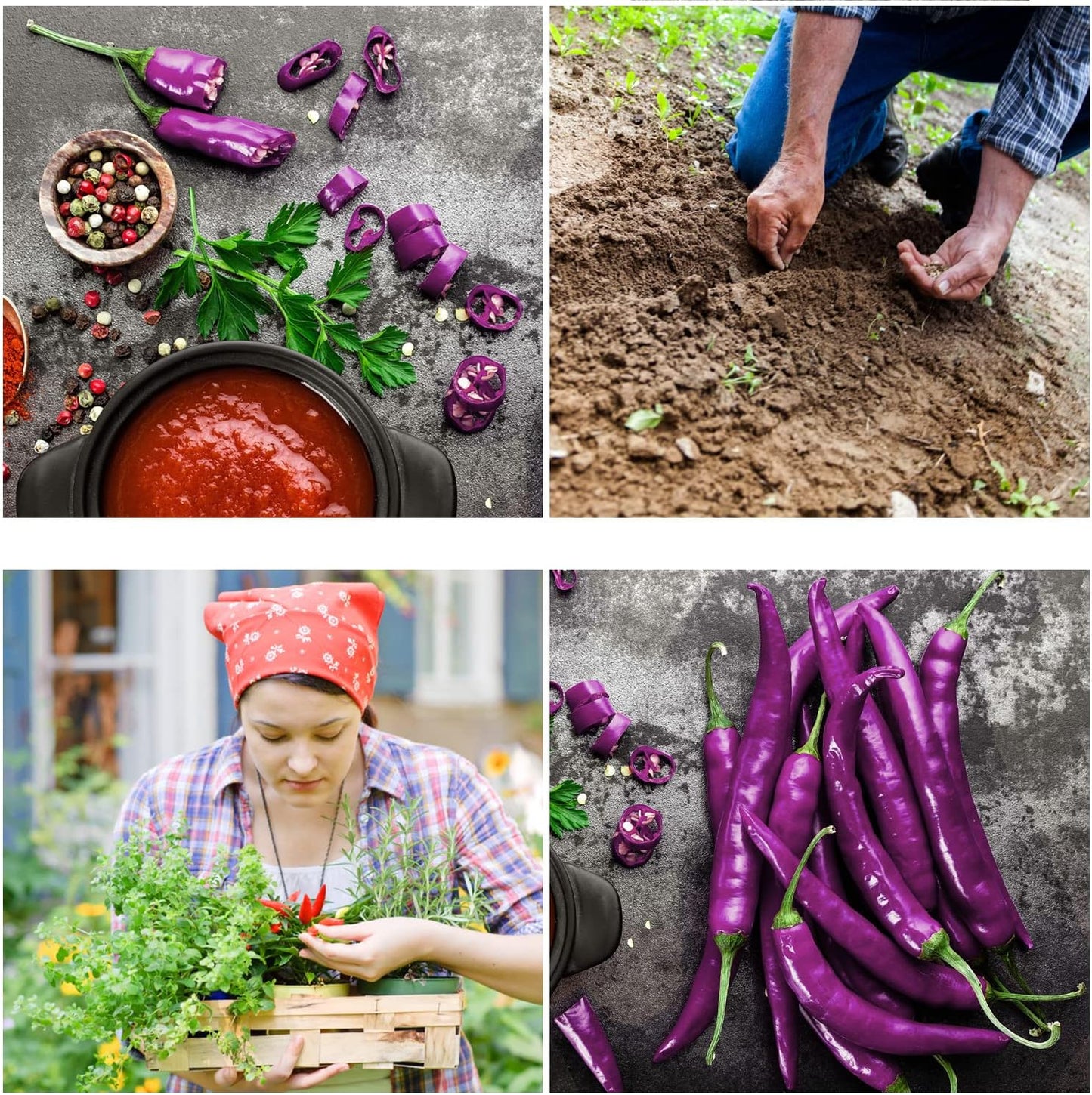 Cayenne Pepper Seeds for Planting - Non-GMO Spicy Purple Peppers - Pack of 30 Open-Pollination Heirloom Seeds with Growing Instructions - All-Natural Hot Pepper Seeds for Your Garden